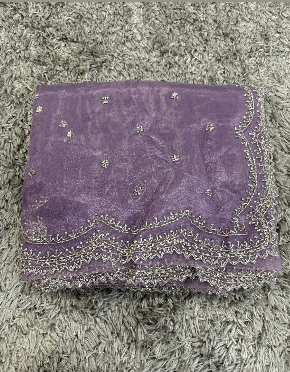 Tissue Organza Designer Zardozi work Saree ✨