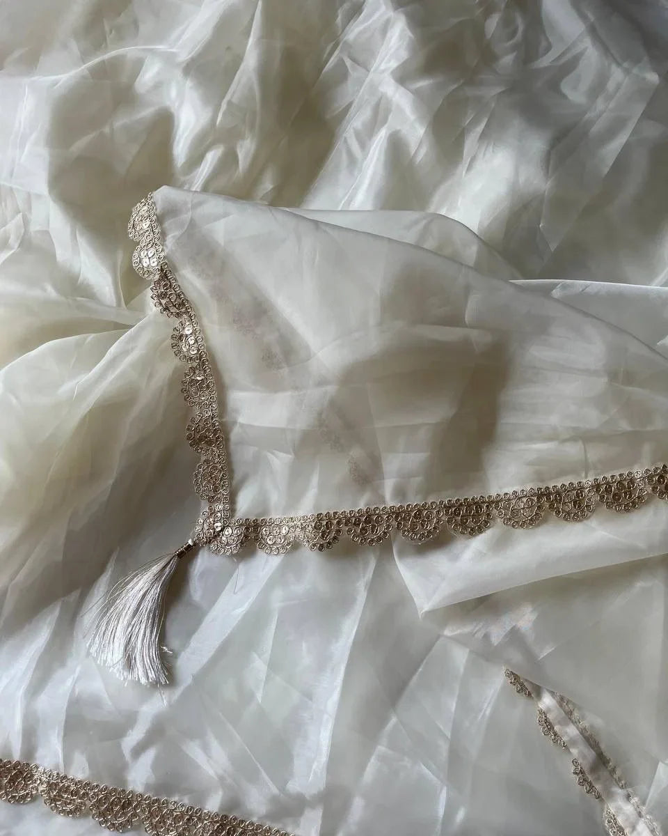 Premium paper silk tissue saree with Velvet Stitched Blouse