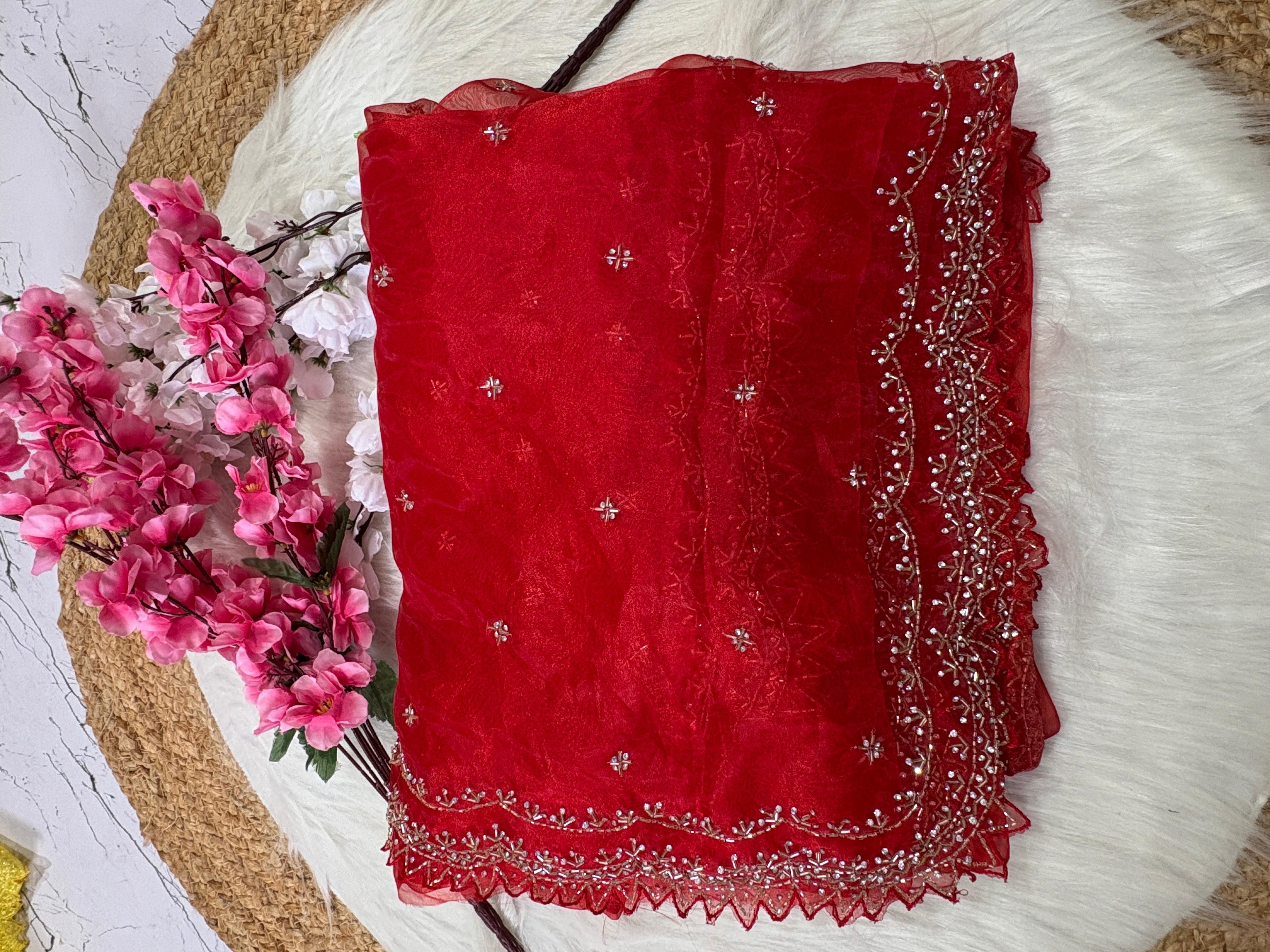 Tissue Organza Designer Zardozi work Saree ✨