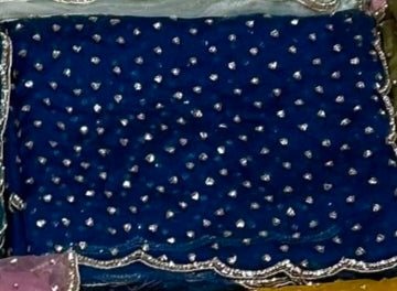 Nakshatra - Glass Tissue Handwork Saree ✨