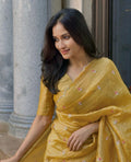 Crush Tissue Saree with Multi Embroidery work