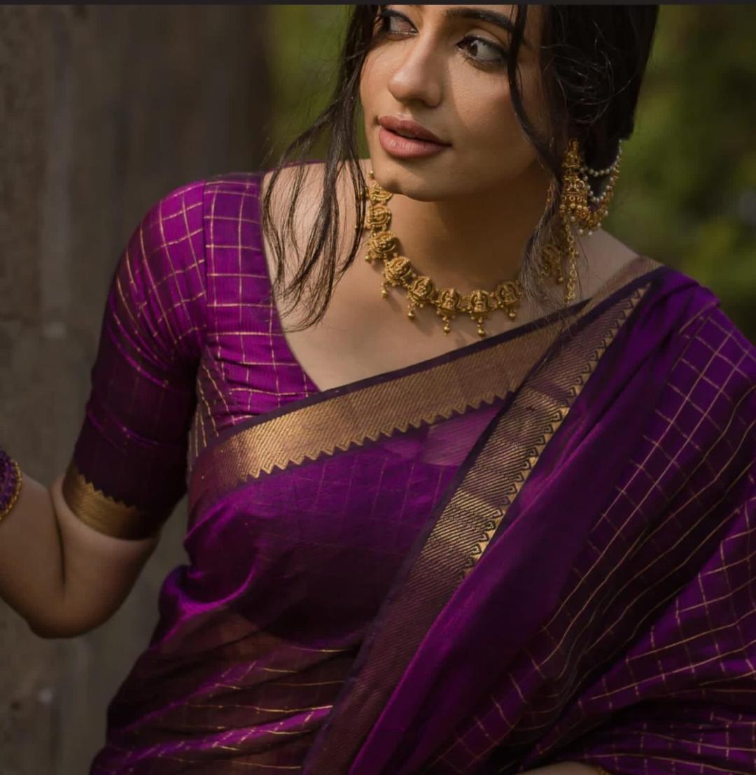 Mangalagari Handloom Checks Pattu Saree